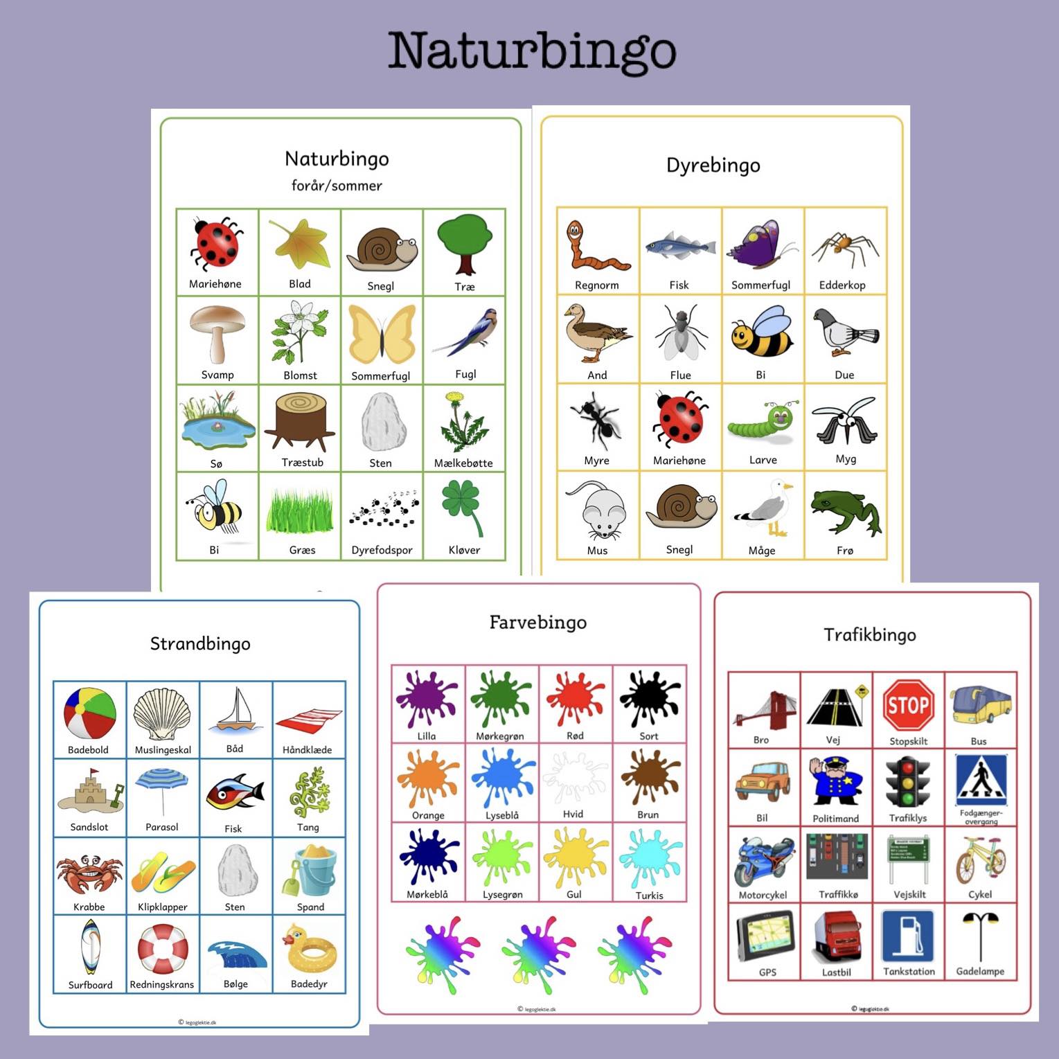 Naturbingo - 5 plader (Print selv)