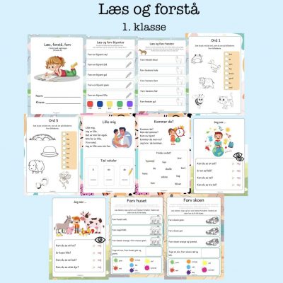 Læs og forstå - niveau B (Print selv)