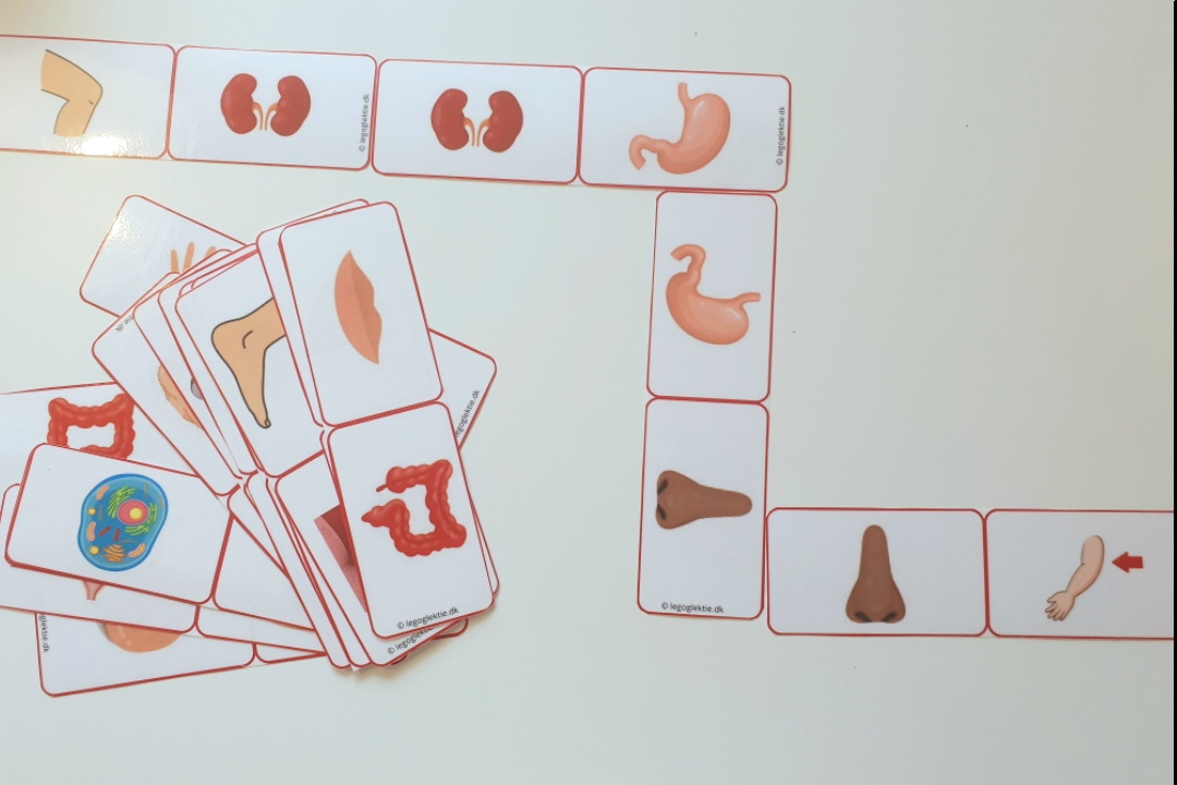 Billede af 5 spil domino til børnehavebørn (Print selv)