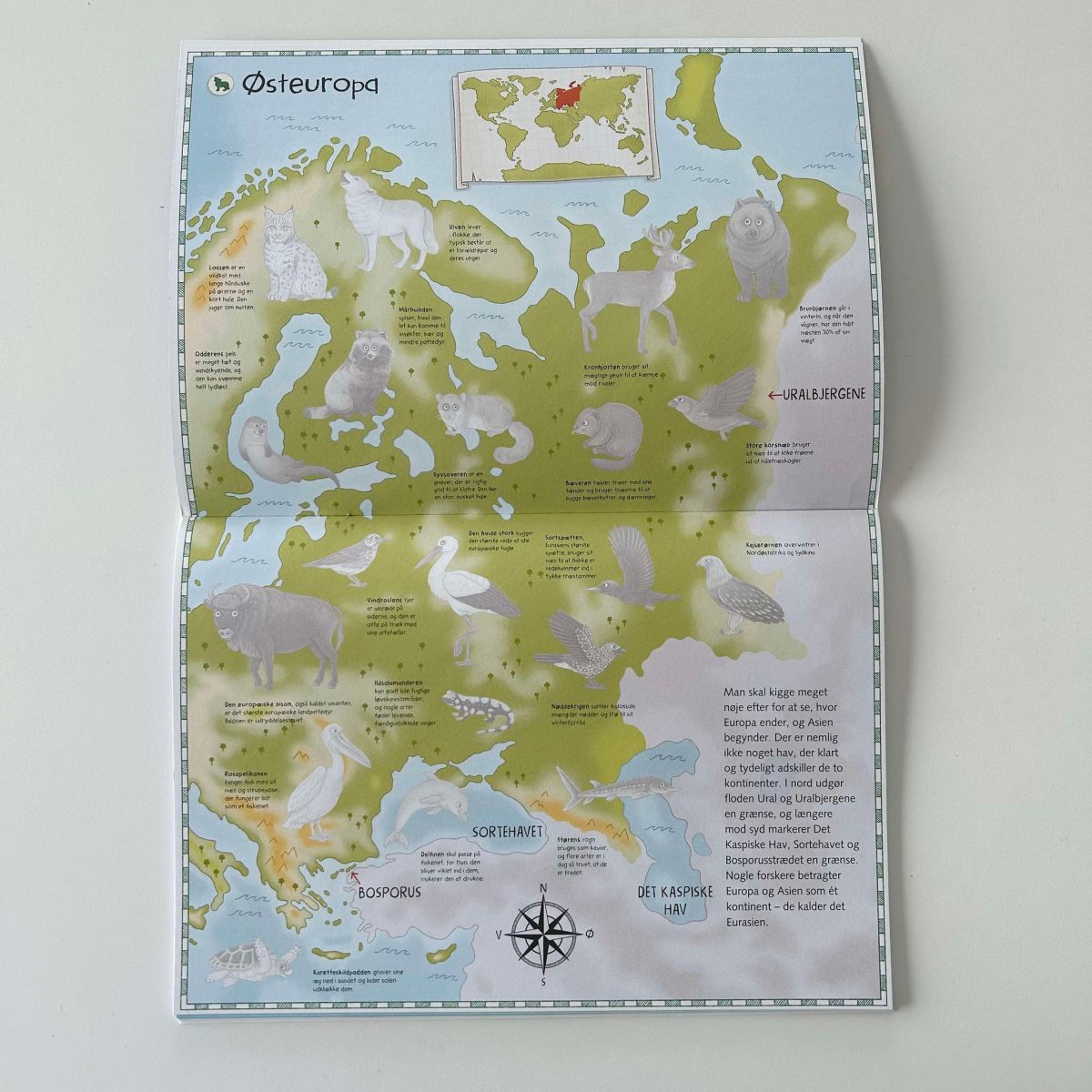 Atlas - en bog om verdens dyr med klistermærker - Billede 3